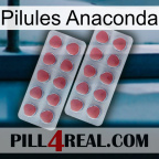 Anaconda Pills 19